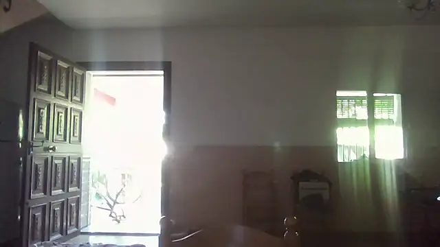 llopaco webcam