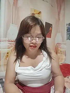 Cover-baa webcam