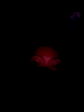 Bristy_BigBoobs webcam