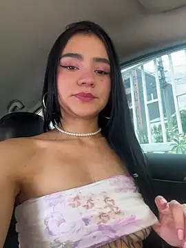 Dakota-fire webcam