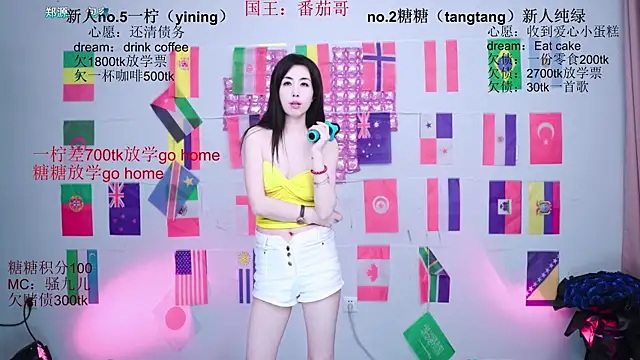 CCTW-100 webcam