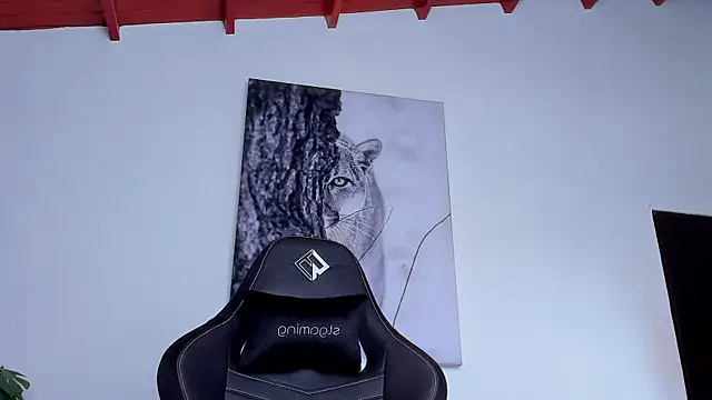 Santos_ramirez1 webcam
