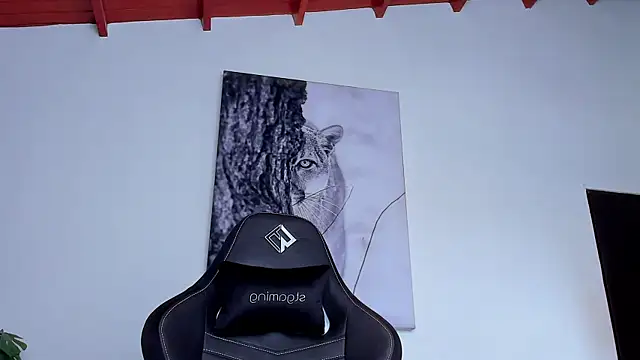 Santos_ramirez1 webcam