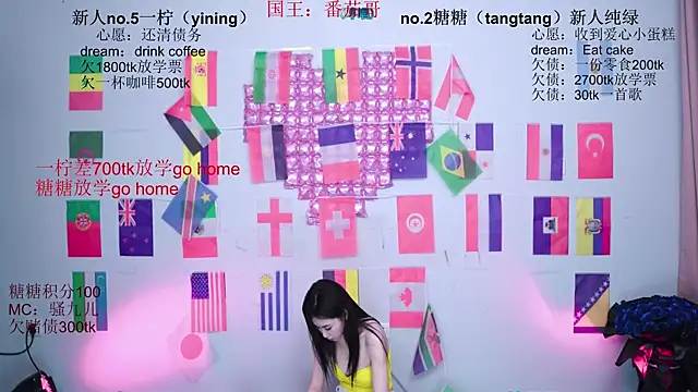 CCTW-100 webcam