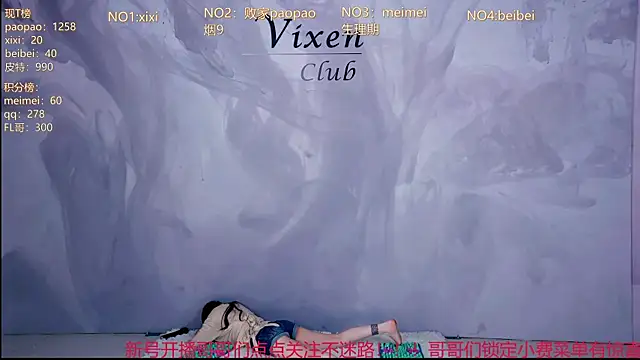 MG_068 webcam