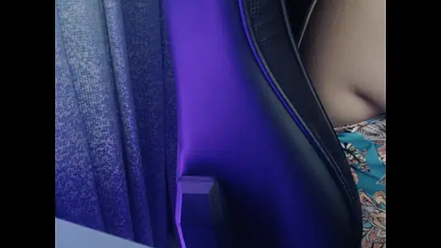 Model29 webcam