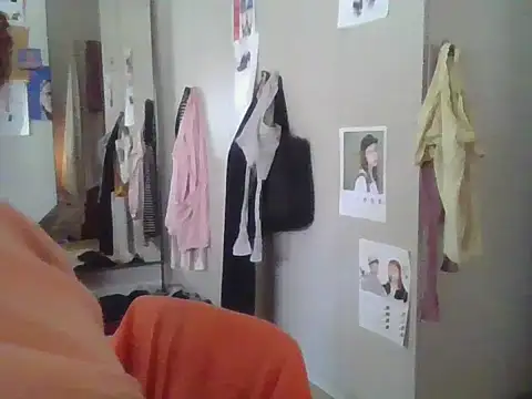 plsmecha webcam