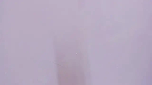 miajhonsonx webcam