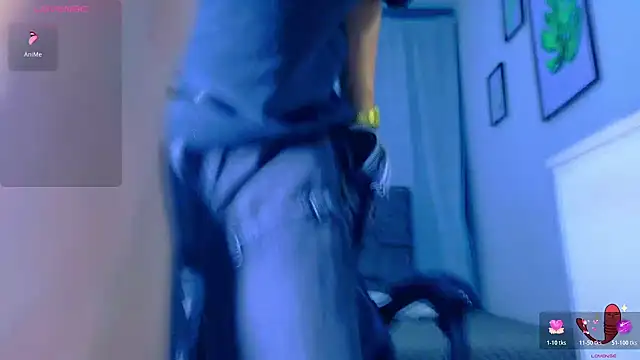 Dantekent webcam