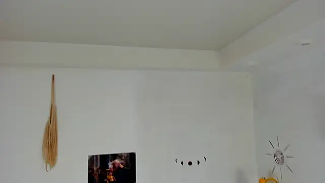 LiyaFly webcam