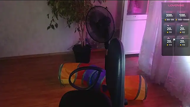 Victory80lvl webcam