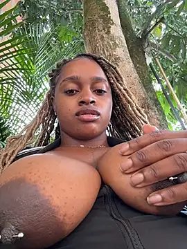 darle_volant webcam