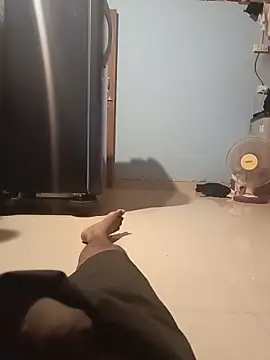 newboygoa webcam