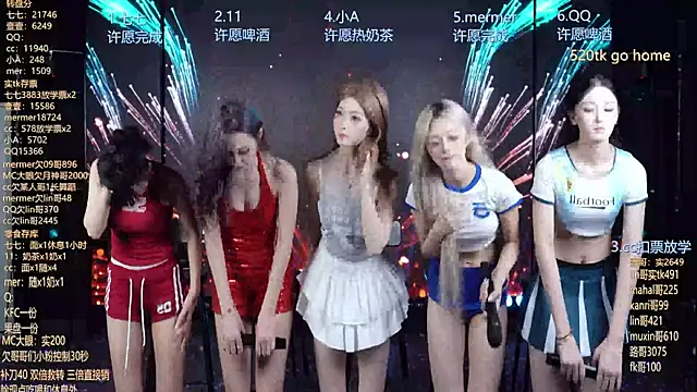 SK010 webcam