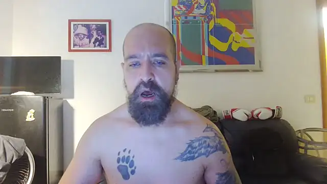 AMIRDIB2025 live cam on StripChat