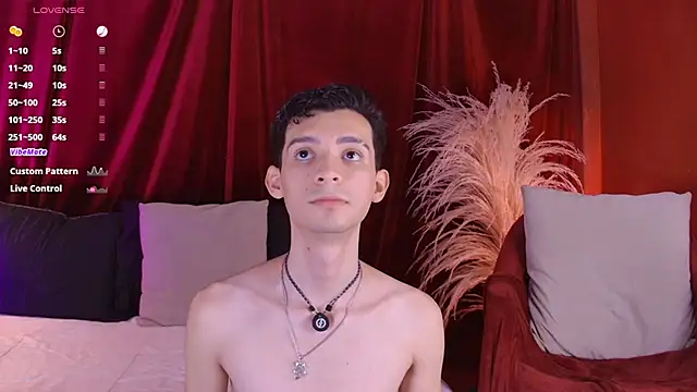 VicenteFerrer webcam