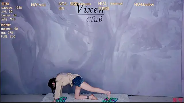 MG_068 webcam