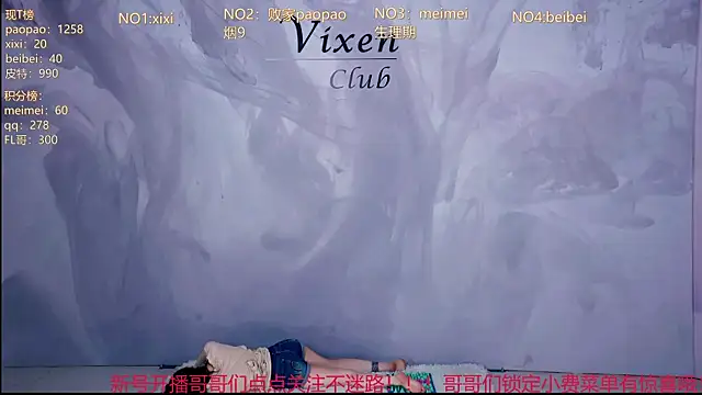 MG_068 webcam