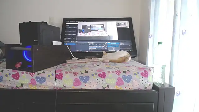 eolicasex live sex cam