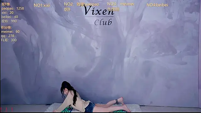 MG_068 webcam