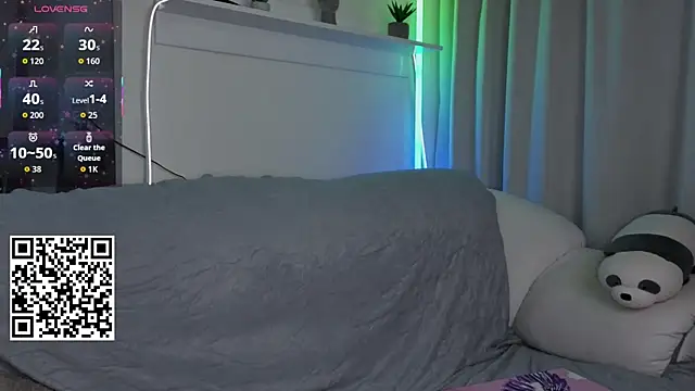 _Lua__ webcam