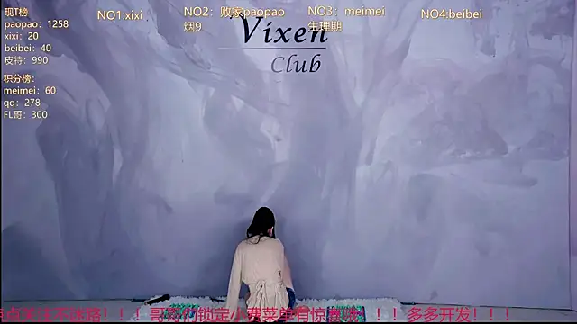 MG_068 webcam