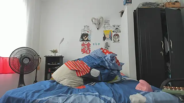 SonSett webcam