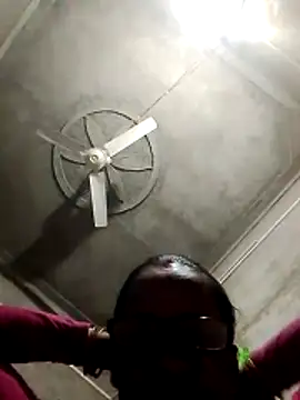 Anitarakkoli webcam
