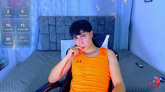 Dantekent webcam
