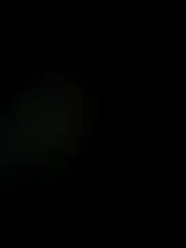 safadabsol webcam