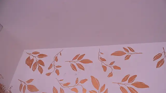 alix_bay webcam