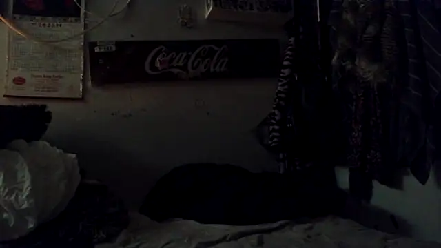 VanillaSnowcones webcam