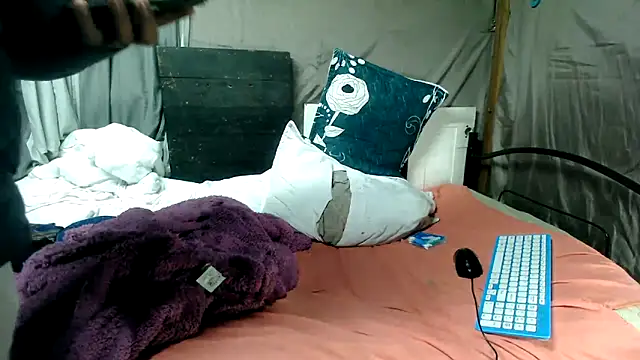 Camodick webcam