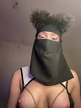 arabayla webcam