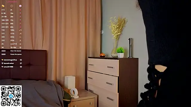 NerixalVire webcam