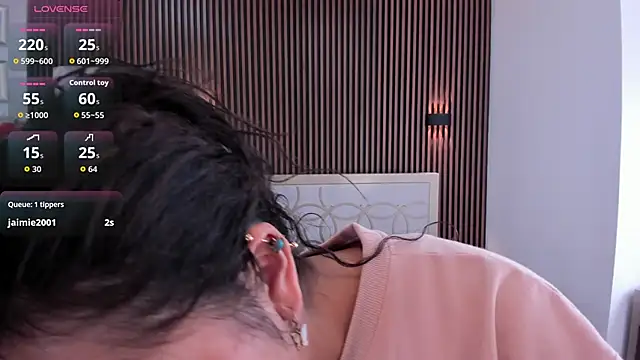 paulys_ webcam