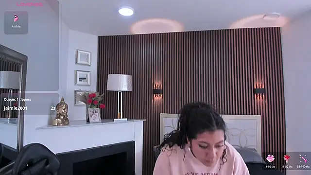 paulys_ webcam