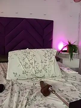 haileystone webcam