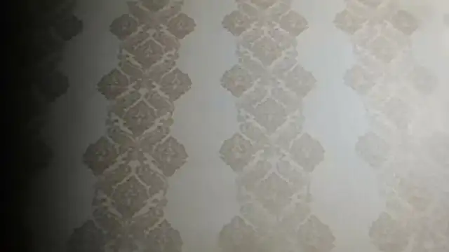 BobbyXRoyal webcam