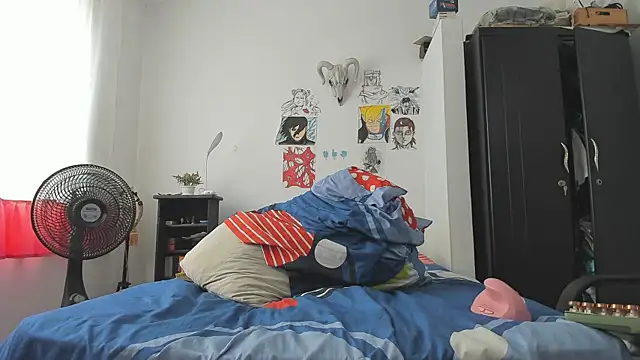 SonSett webcam