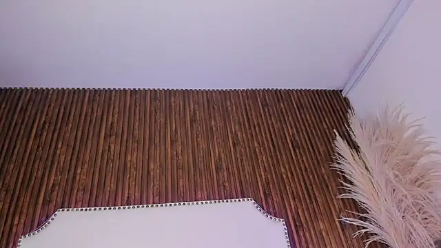 _Cherry_fox webcam