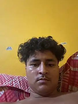 cannonWithMuscles webcam