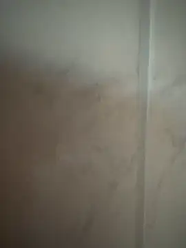 jannee23 webcam