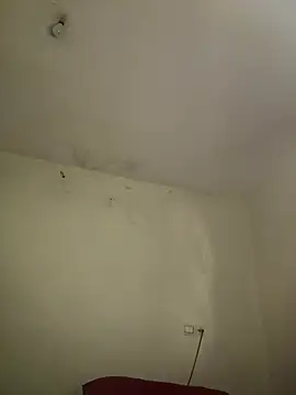 arabayla webcam