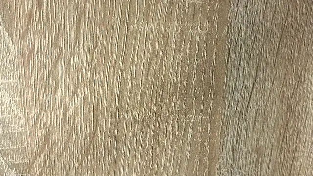 NoFace_Model webcam