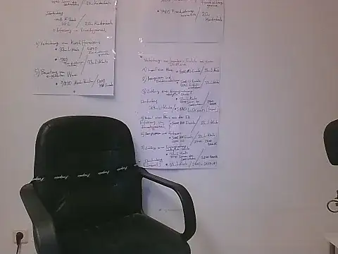 VelvetRagottiOG webcam