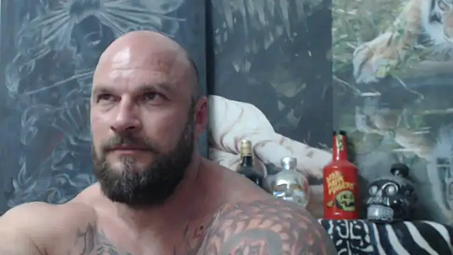 viking_30 webcam