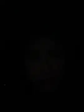 ScarletBloom_ webcam