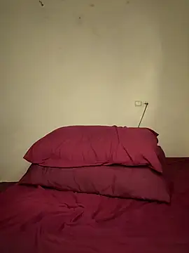arabayla webcam