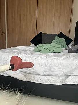Nicollemays webcam